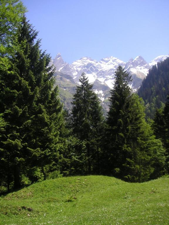 Gaestehaus Schmid Obermaiselstein Kültér fotó